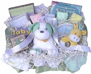 Preemie Welcome Gift Basket